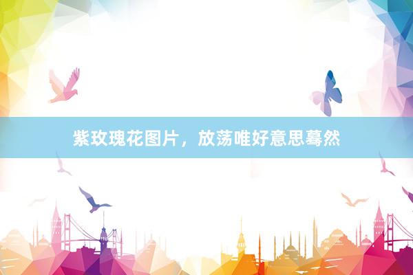 紫玫瑰花图片，放荡唯好意思蓦然